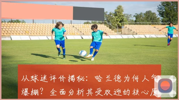 从球迷评价揭秘：哈兰德为何人气爆棚？全面分析其受欢迎的核心原因